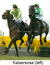 Kaisersosa (16063 bytes)