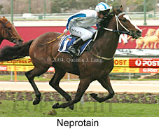 Neprotain (19388 bytes)