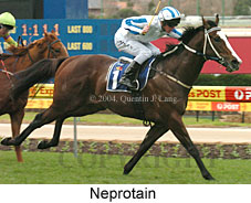 Neprotain (19180 bytes)