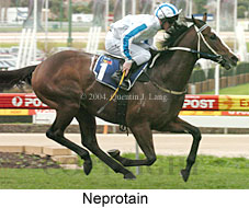 Neprotain (18758 bytes)