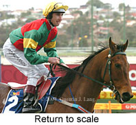 Return to scale (16663 bytes)