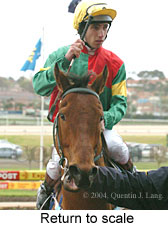 Return to scale (13743 bytes)