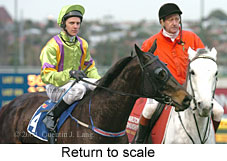 Return to scale (15518 bytes)