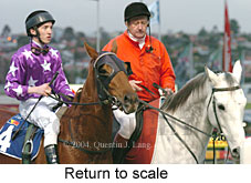 Return to scale (17200 bytes)