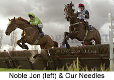 Hurdle action shot (13222 bytes)