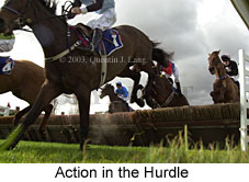 Hurdle action shot (14759 bytes)