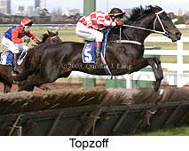 Topzoff (15476 bytes)