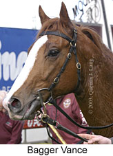 Bagger Vance (14227 bytes)