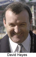 David Hayes (9264 bytes)
