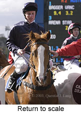 Return to scale (15778 bytes)