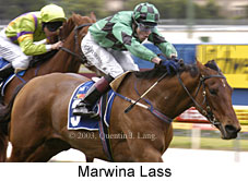 Marwina Lass (16349 bytes)