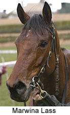 Marwina Lass (10519 bytes)