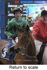 Return to scale (15484 bytes)