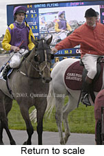 Return to scale (14784 bytes)