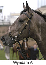 Wyndam All (10854 bytes)