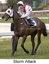 Storm Attack (15331 bytes)