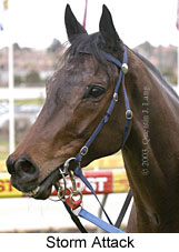 Storm Attack (12556 bytes)