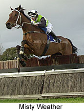 Misty Weather (14192 bytes)