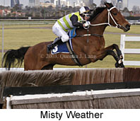 Misty Weather (14008 bytes)