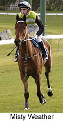 Misty Weather (13760 bytes)