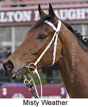 Misty Weather (13387 bytes)