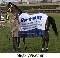 Misty Weather (15817 bytes)