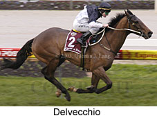 Delvecchio (13718 bytes)