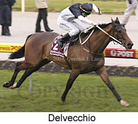 Delvecchio (13659 bytes)