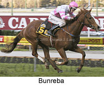 Bunreba (16142 bytes)