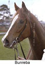 Bunreba (10410 bytes)