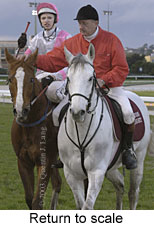 Return to scale (13551 bytes)