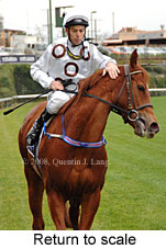 Return to scale (15472 bytes)