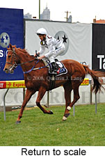 Return to scale (15472 bytes)