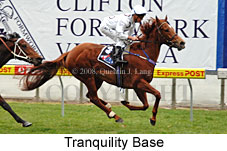 Tranquility Base (16727 bytes)