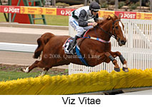 Viz Vitae (16727 bytes)