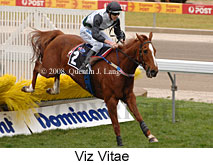 Viz Vitae (16727 bytes)