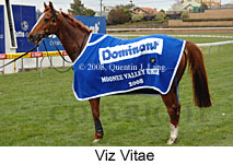 Viz Vitae (16727 bytes)