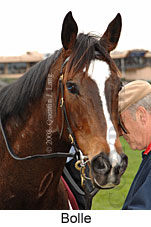 Bolle (16727 bytes)
