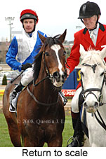 Return to scale (15472 bytes)