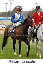 Return to scale (15472 bytes)