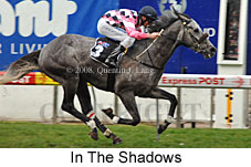 In The Shadows (16727 bytes)