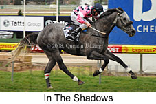 In The Shadows (16727 bytes)