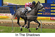 In The Shadows (16727 bytes)