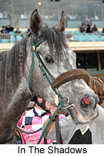 In The Shadows (16727 bytes)