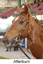 Afterburn (16727 bytes)