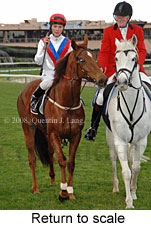 Return to scale (15472 bytes)