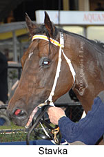 Stavka (16727 bytes)