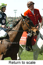 Return to scale (15361 bytes)