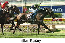 Star Kasey (14872 bytes)