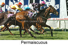 Permaiscuous (15465 bytes)